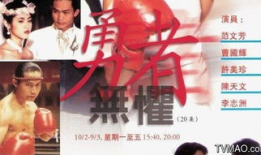 电视剧勇者无惧演员表,实力派明星齐聚一堂，演绎传奇英雄传奇故事